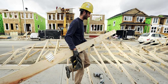 Alberta Labour Market Study